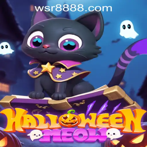 Exploring HalloweenMeow: The New Spooky Sensation at WSR Casino